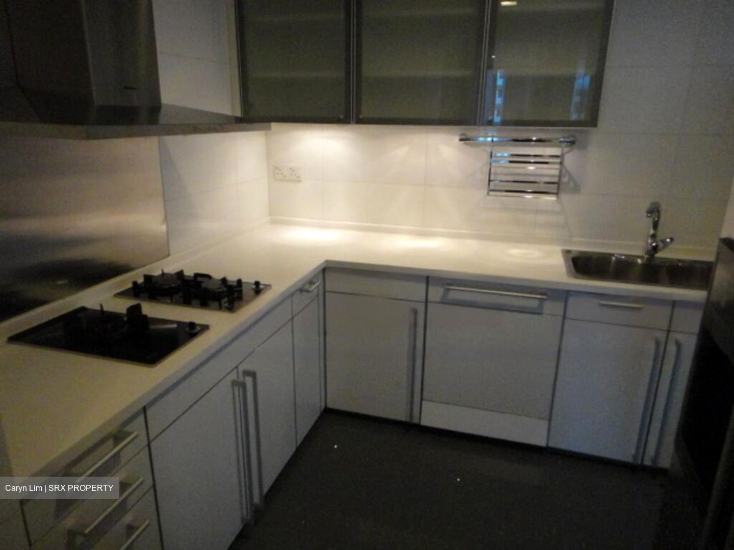 Cairnhill Crest (D9), Condominium #482280681